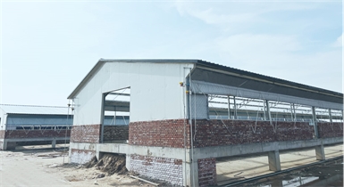 土默特右旗現代智慧設施肉羊產業(yè)技術創(chuàng)新園區(qū)